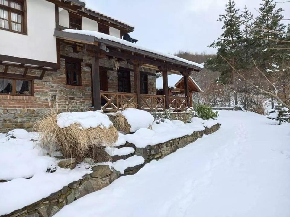 Traditional Cottage - Vila Samovila Delcevo Exteriér fotografie