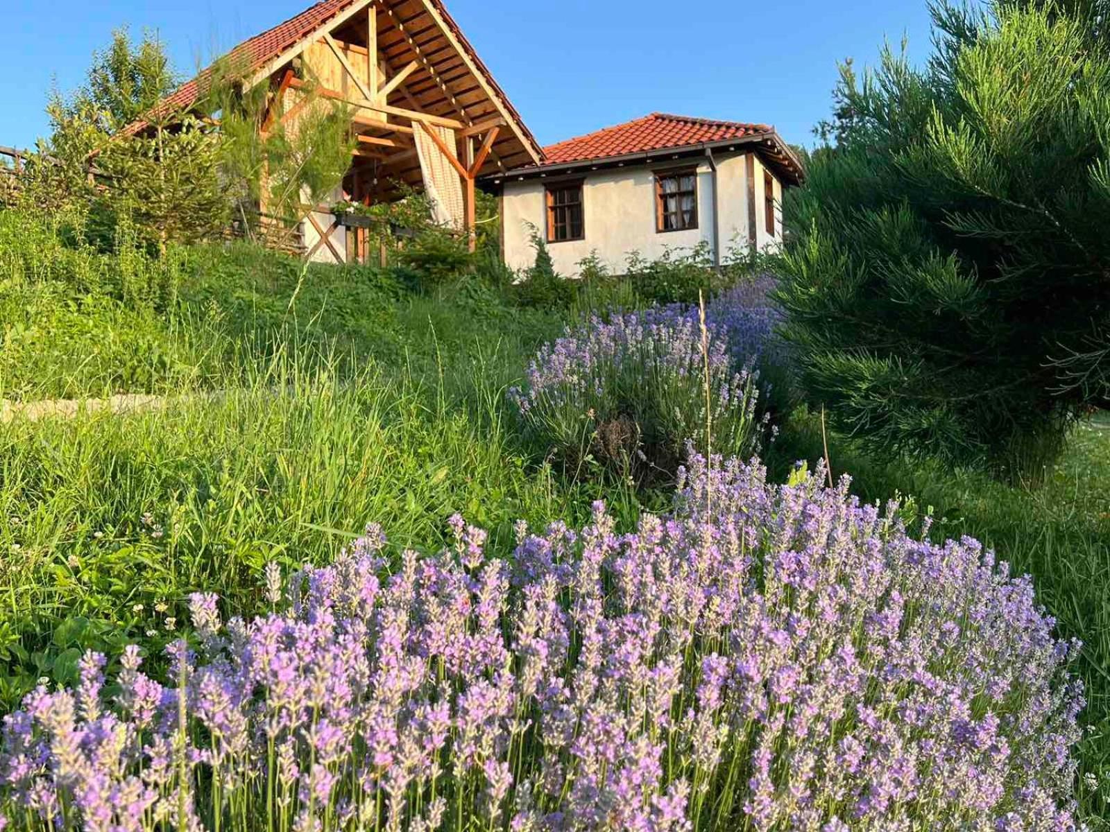 Traditional Cottage - Vila Samovila Delcevo Exteriér fotografie